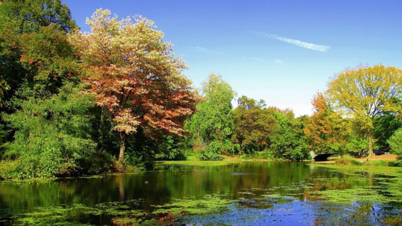 Prospect Park Tours & Tickets