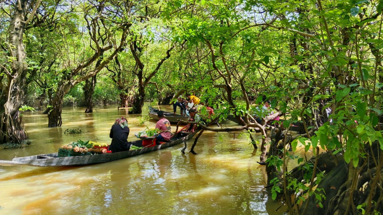 Ratargul Swamp Forest Sylhet